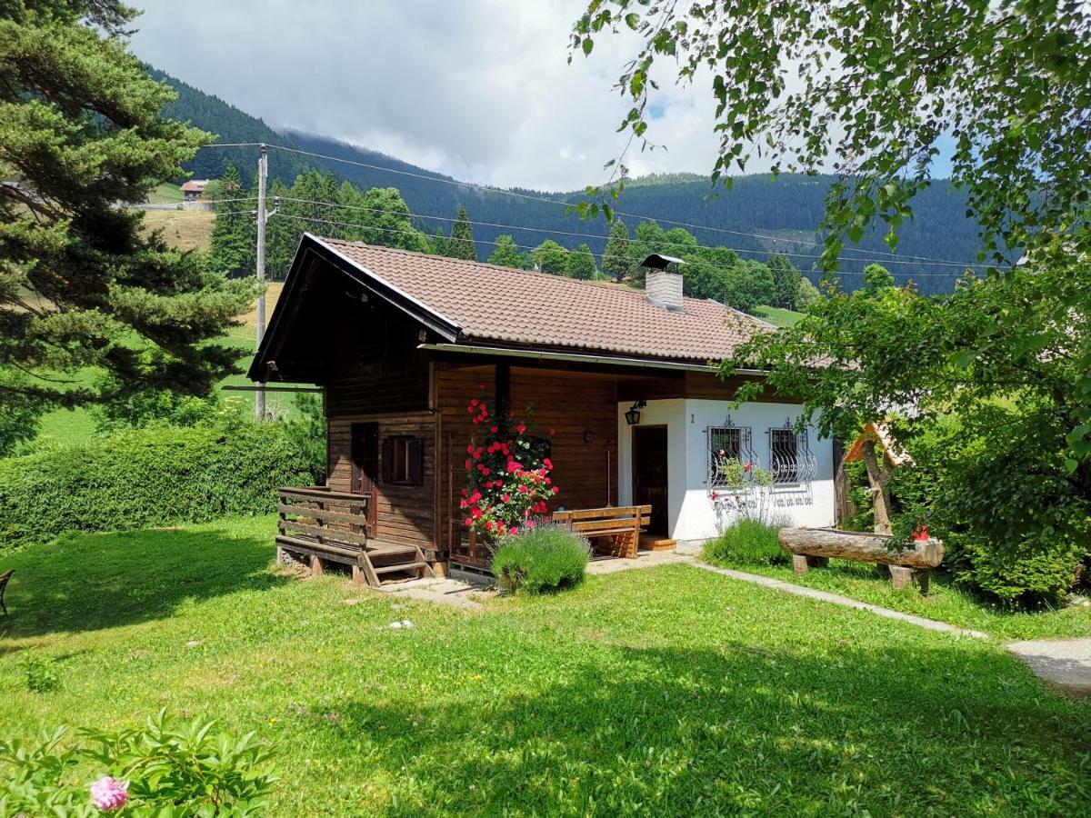 Waldheimat Daire Fresach Dış mekan fotoğraf