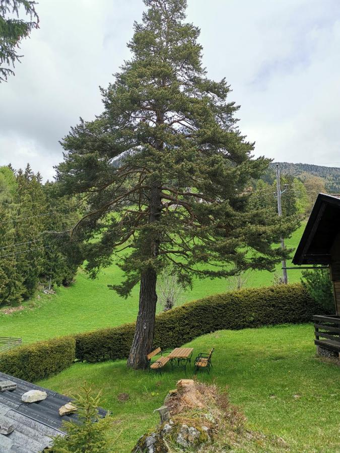 Waldheimat Daire Fresach Dış mekan fotoğraf